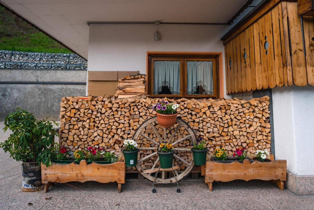 Appartamenti Patrizia San Pietro di Cadore Extérieur photo