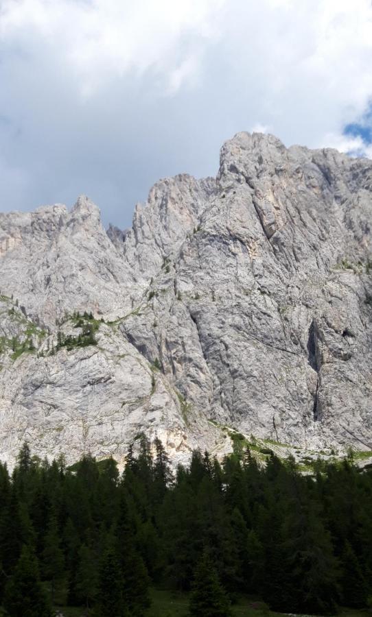 Appartamenti Patrizia San Pietro di Cadore Extérieur photo