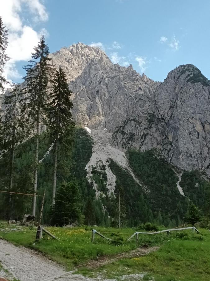 Appartamenti Patrizia San Pietro di Cadore Extérieur photo