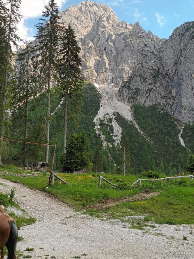 Appartamenti Patrizia San Pietro di Cadore Extérieur photo