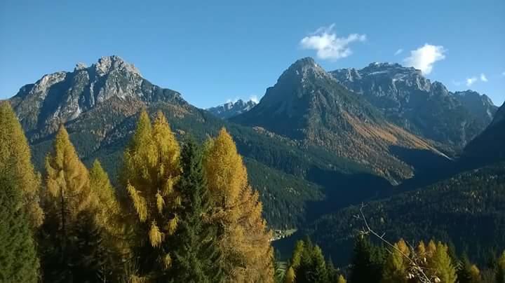 Appartamenti Patrizia San Pietro di Cadore Chambre photo
