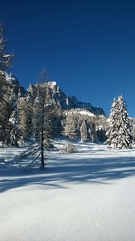 Appartamenti Patrizia San Pietro di Cadore Extérieur photo