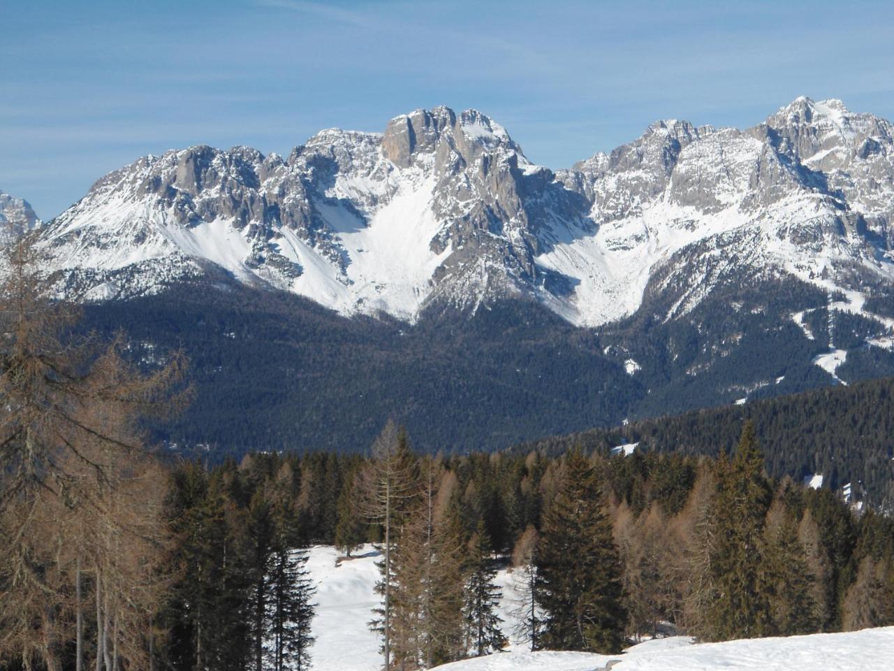 Appartamenti Patrizia San Pietro di Cadore Extérieur photo