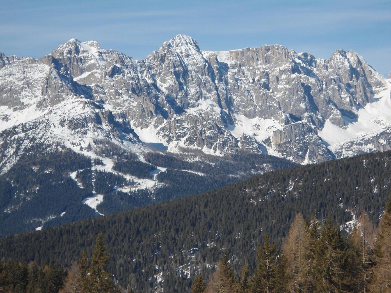 Appartamenti Patrizia San Pietro di Cadore Extérieur photo